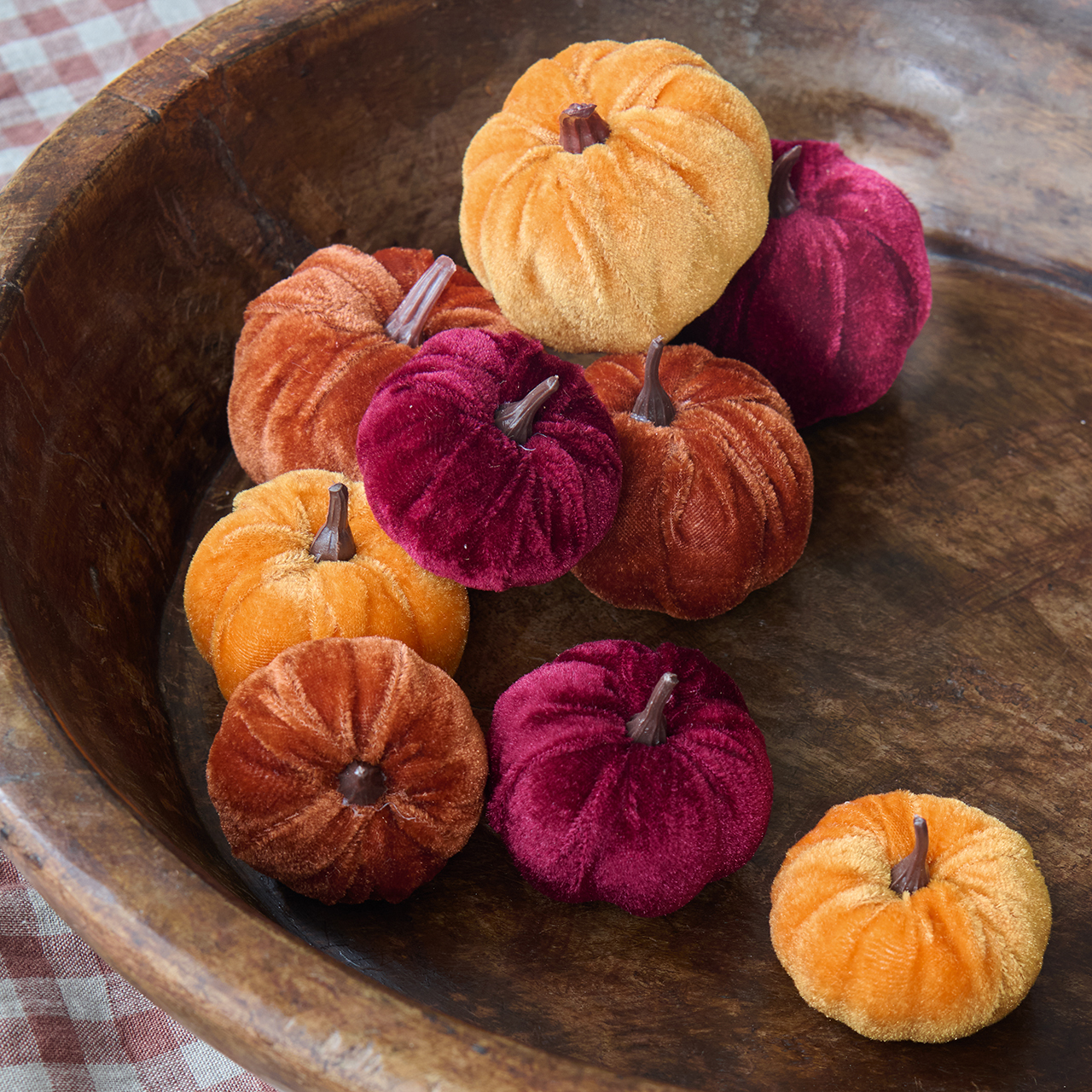 Velvet Pumpkin Collection