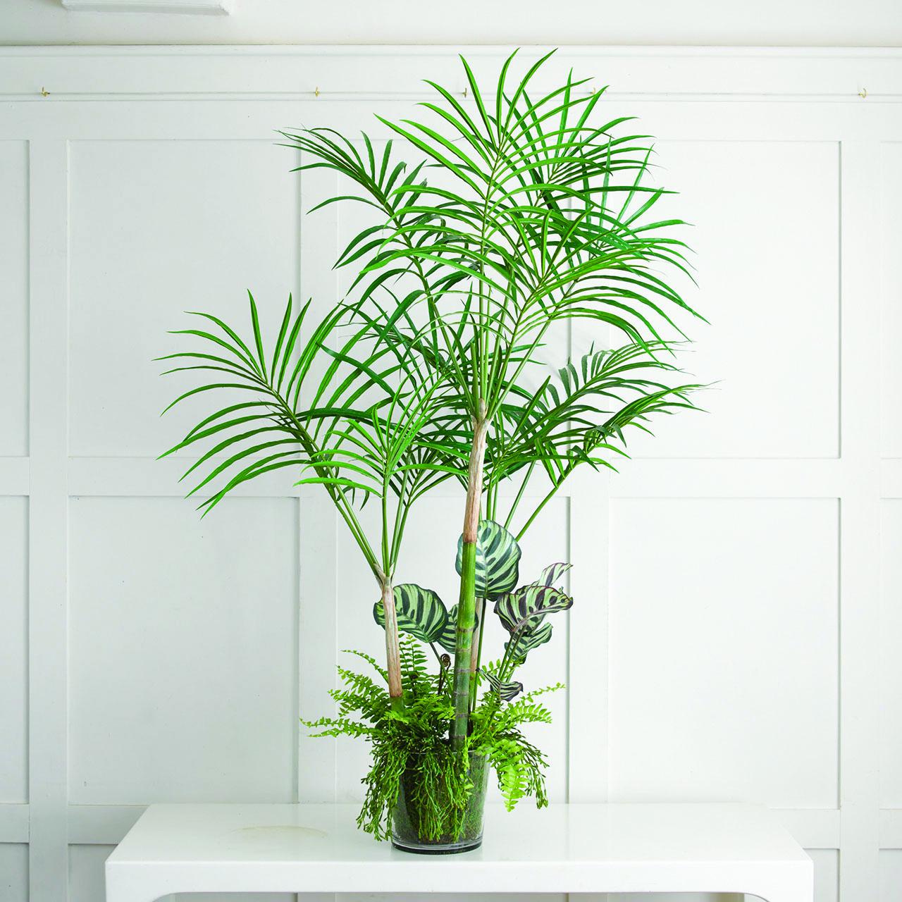 Large Mixed Palm Planter