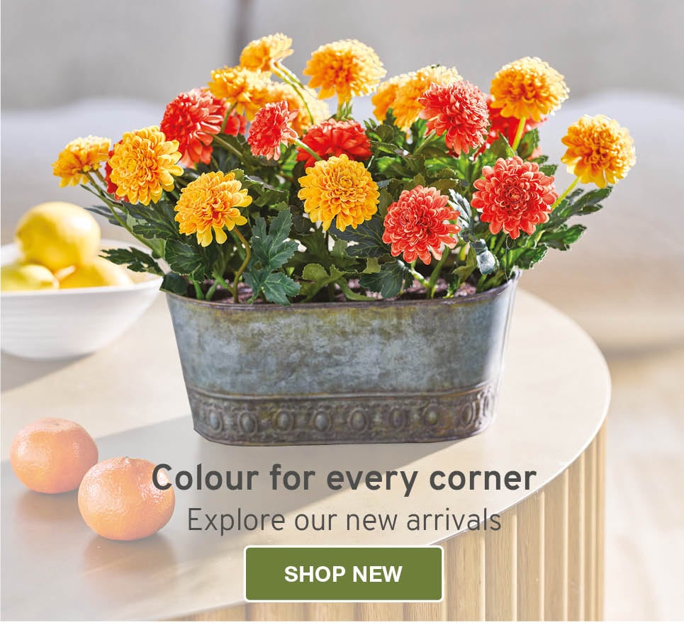 Summer brights and floral favourites. Explore our newest arrivals