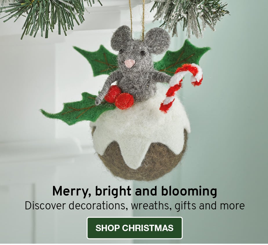 Merry, bright and blooming. Discover decorations, wreaths, gifts and more