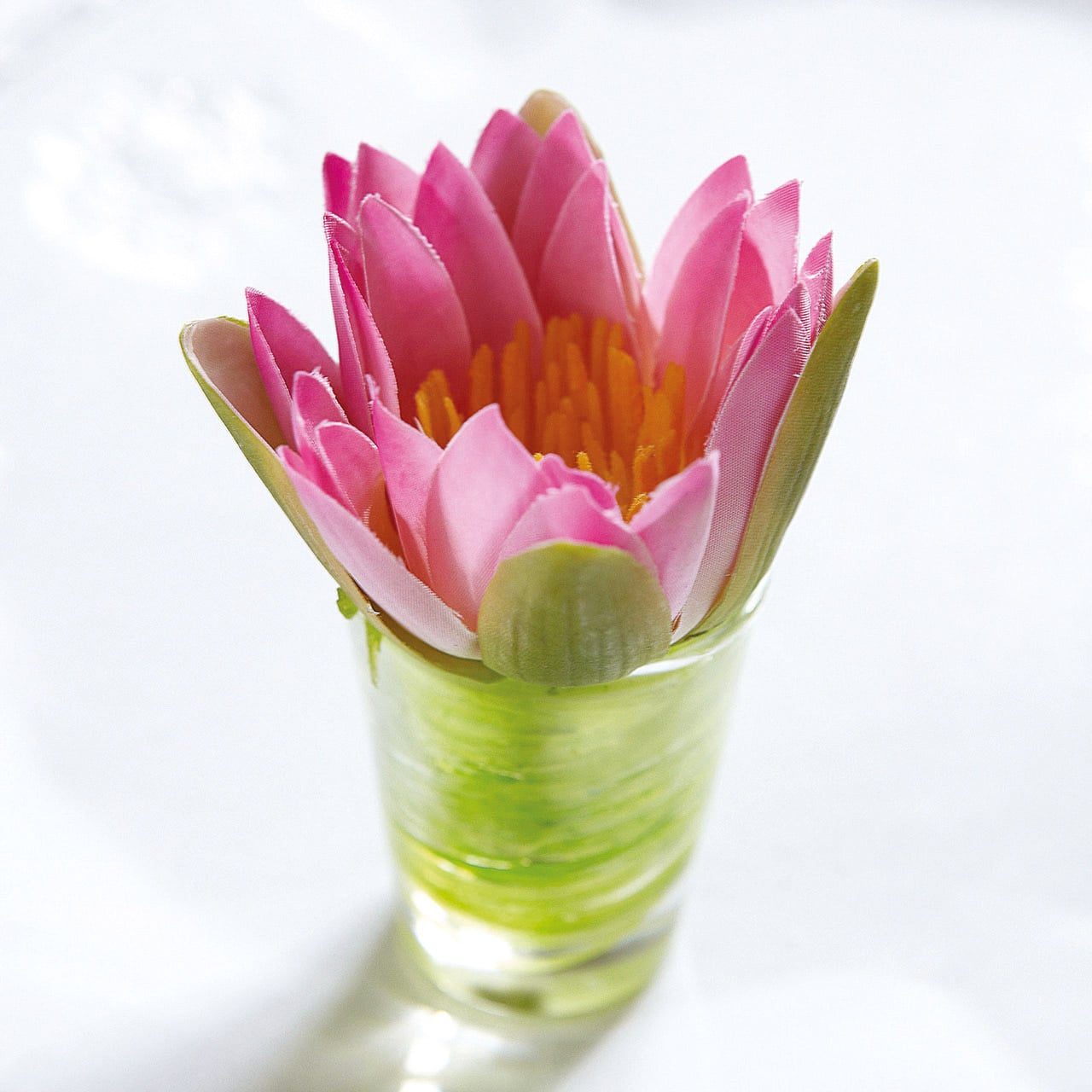 Flower of the Month July