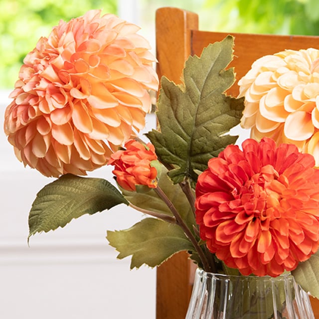Dahlia