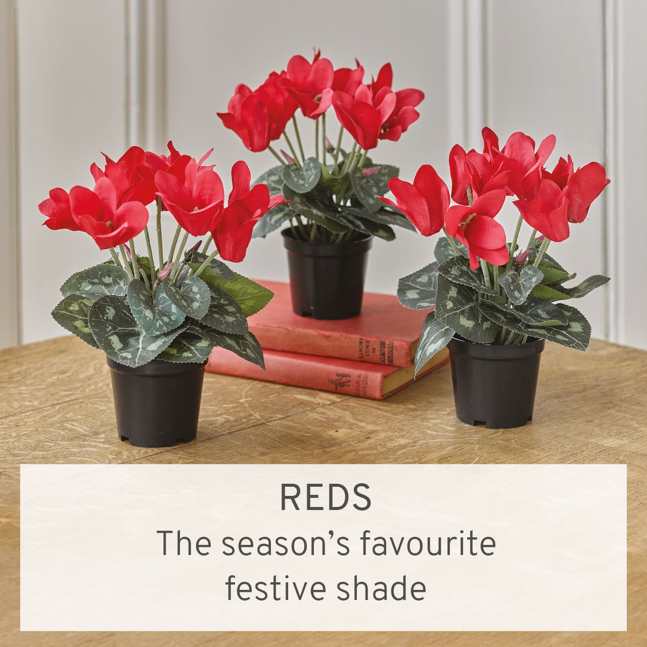 REDS - The season's favourite festive shade