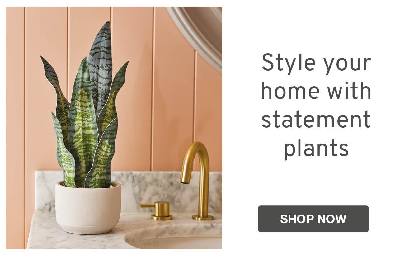 Style your home with statement plants