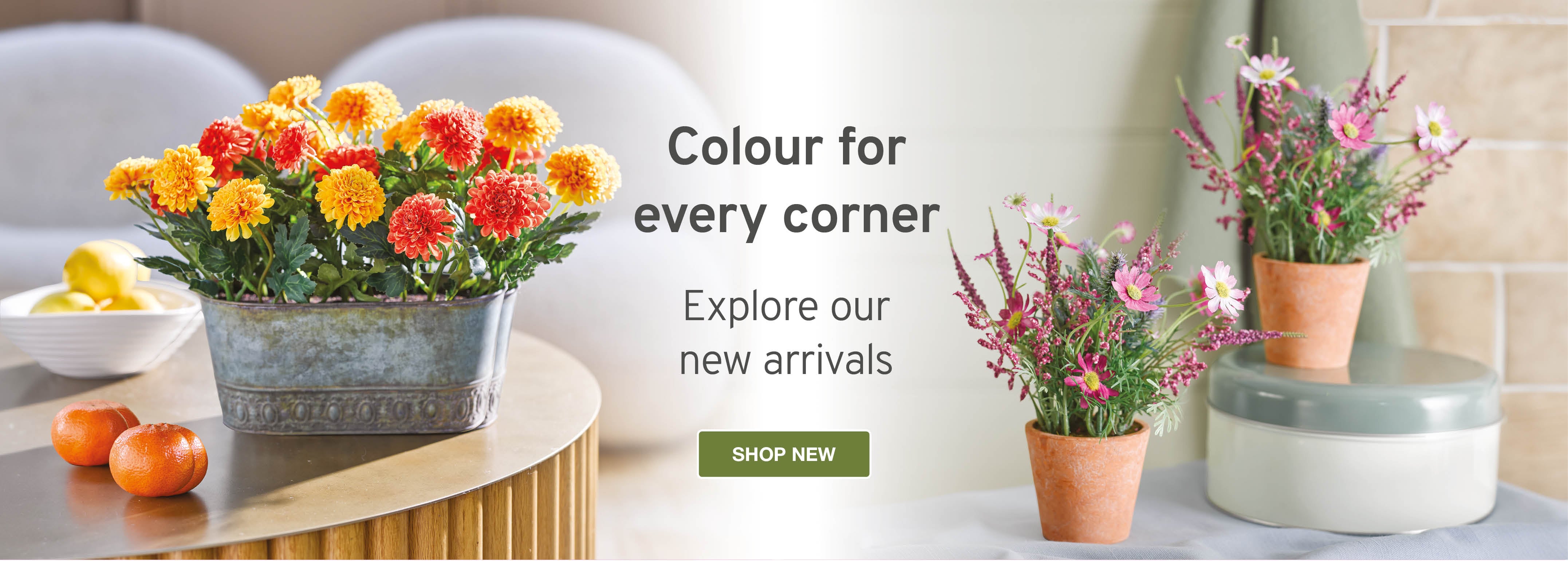 Colour for every corner. Explore our new arrivals.