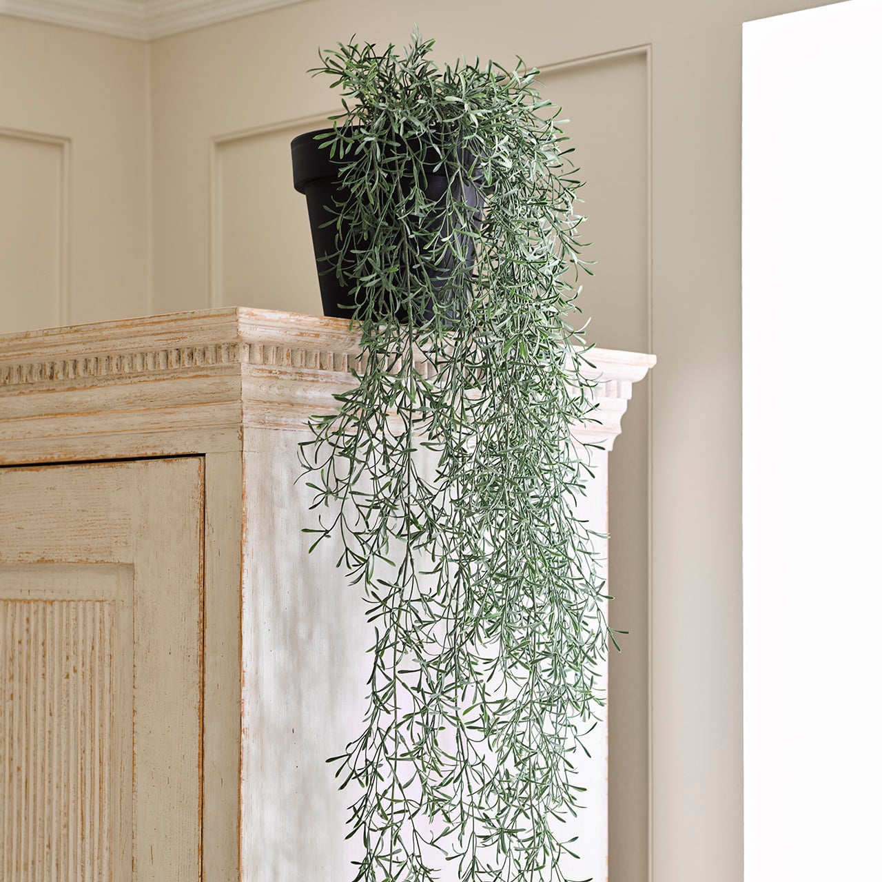 Potted Trailing Fern