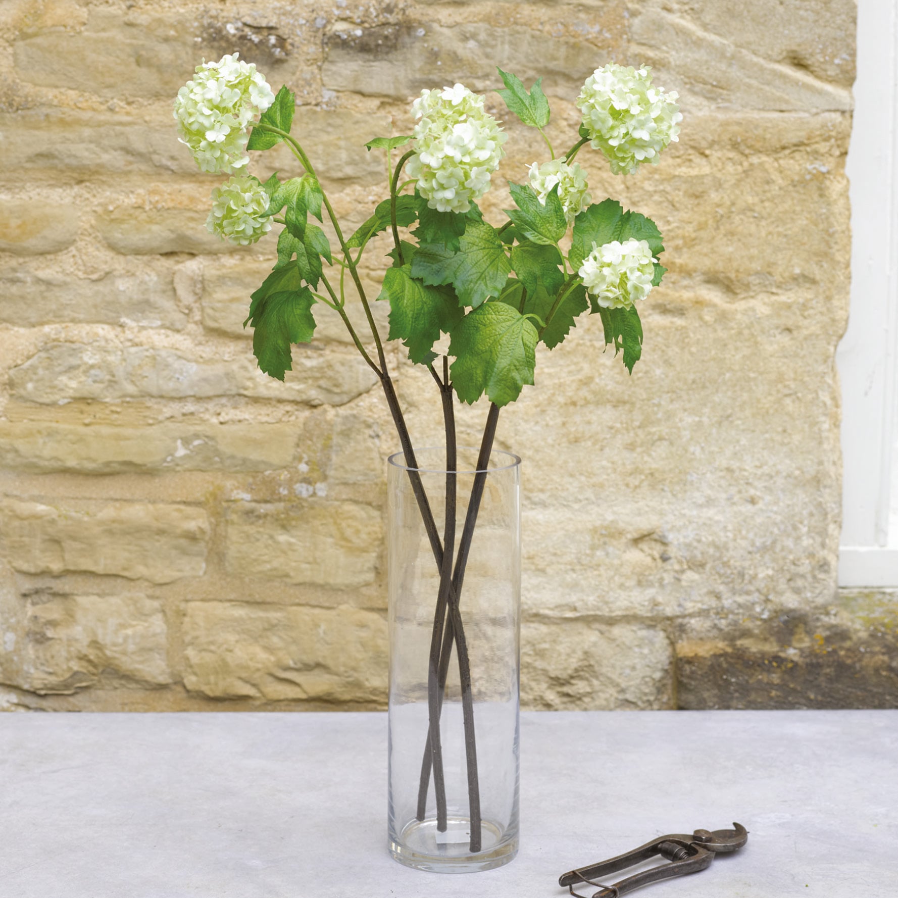 Faux guelder rose stems in glass vase
