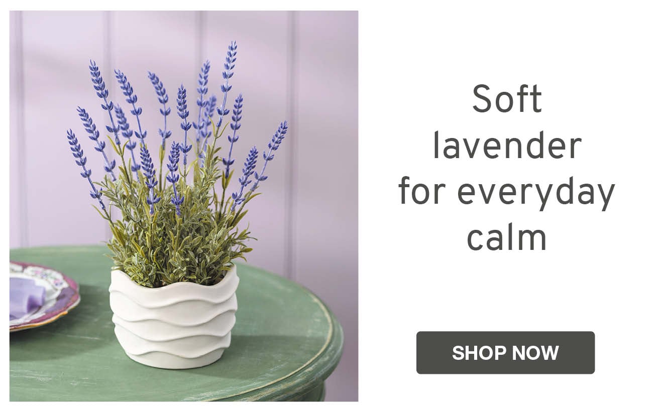 Soft lavender for everyday calm