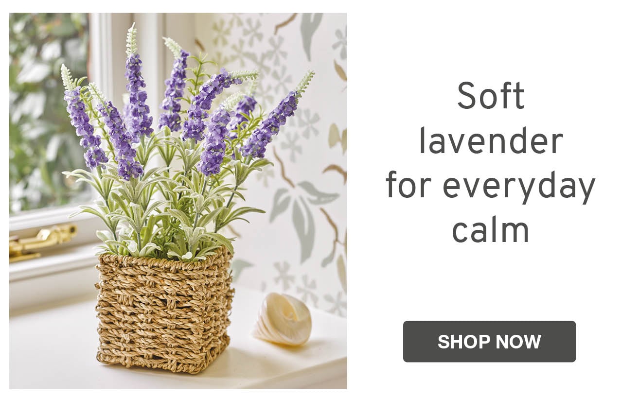 Soft lavender for everyday calm