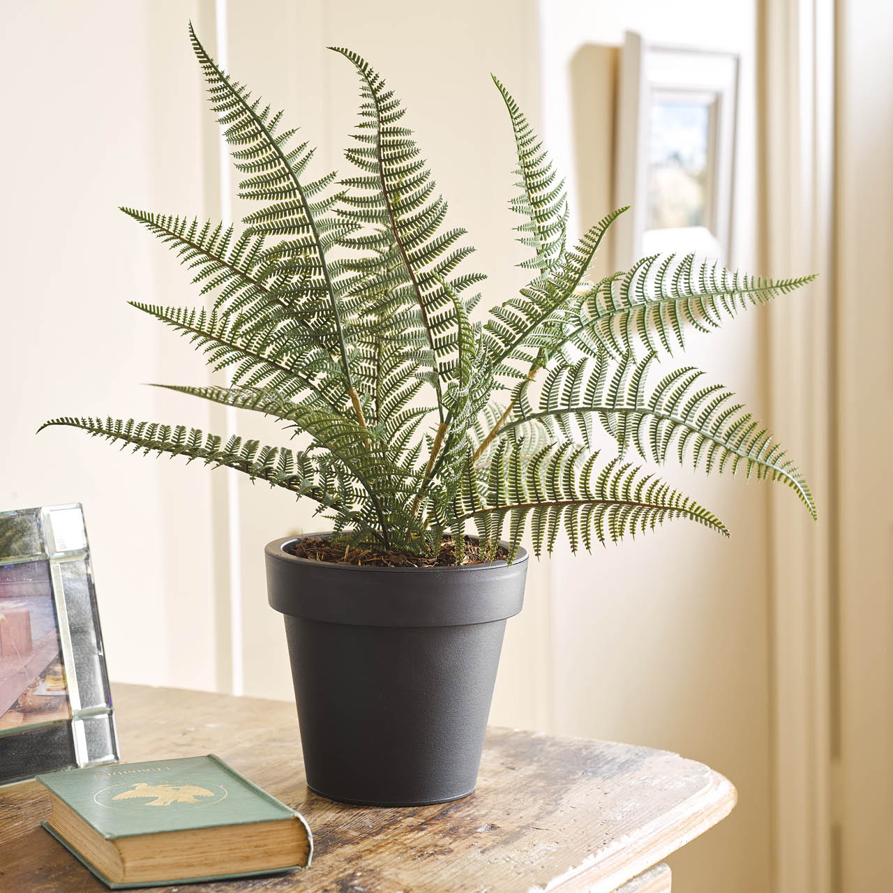 Plants