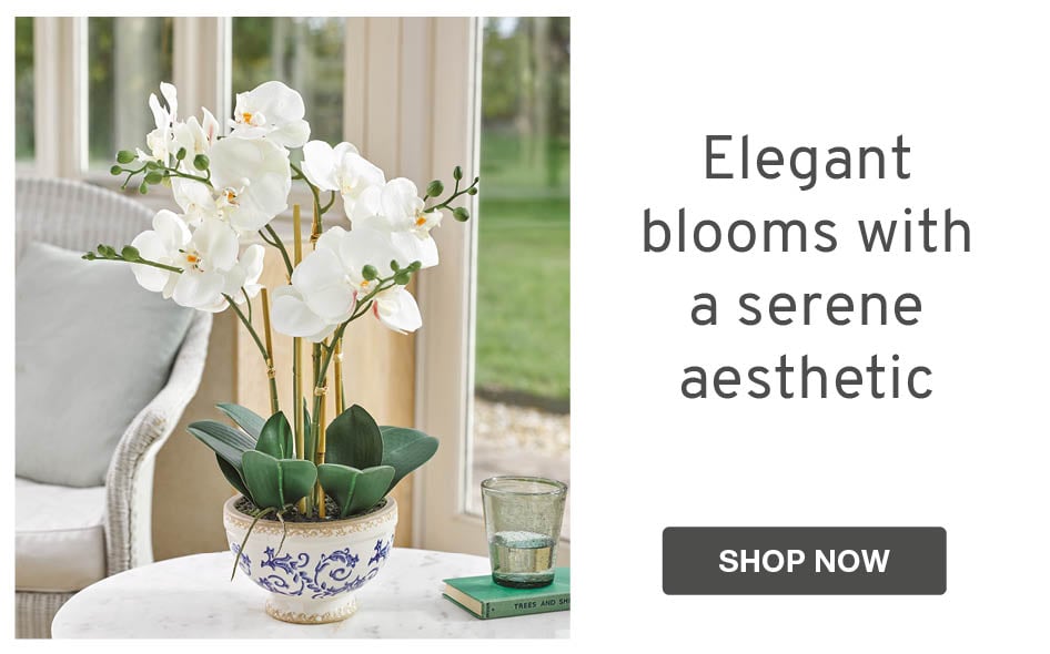 Elegant blooms with a serene aesthetic