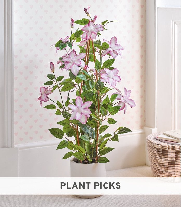 Faux pink clematis climbing 