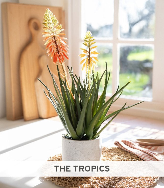 Faux orange aloe vera