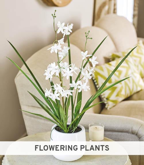 Flowering Plants