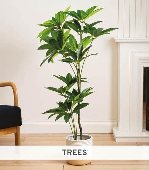 Trees