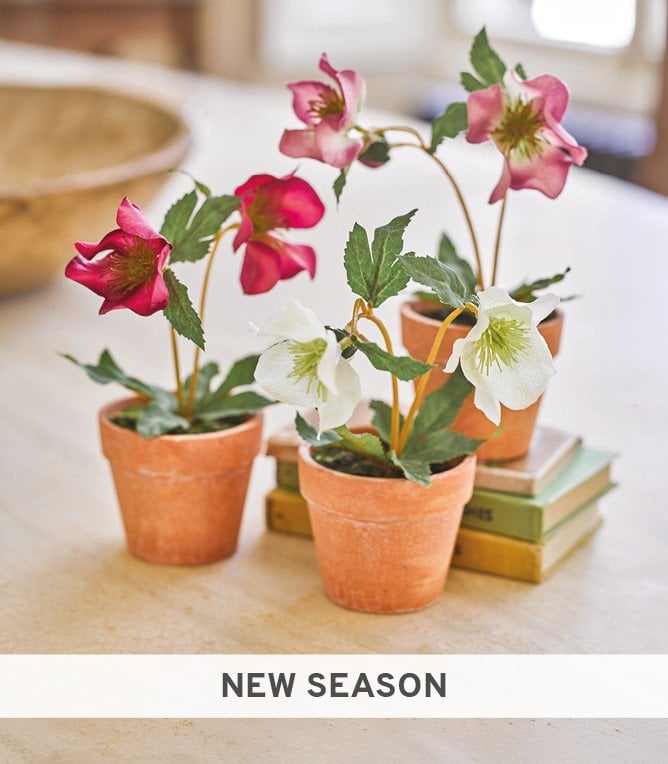 New Season