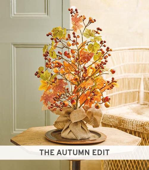 The Autumn Edit