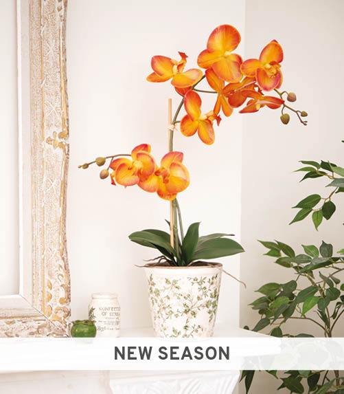 New Season