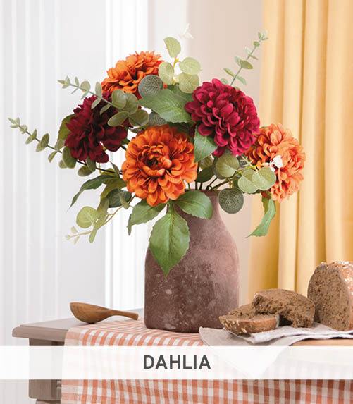 Dahlia