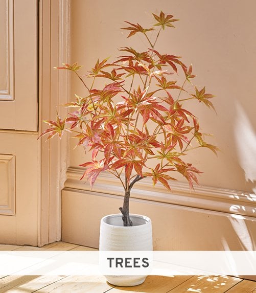 Trees